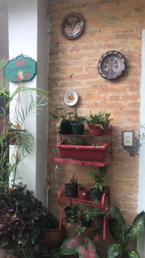 La Petite Maison De Diana Asuncion Ngoại thất bức ảnh