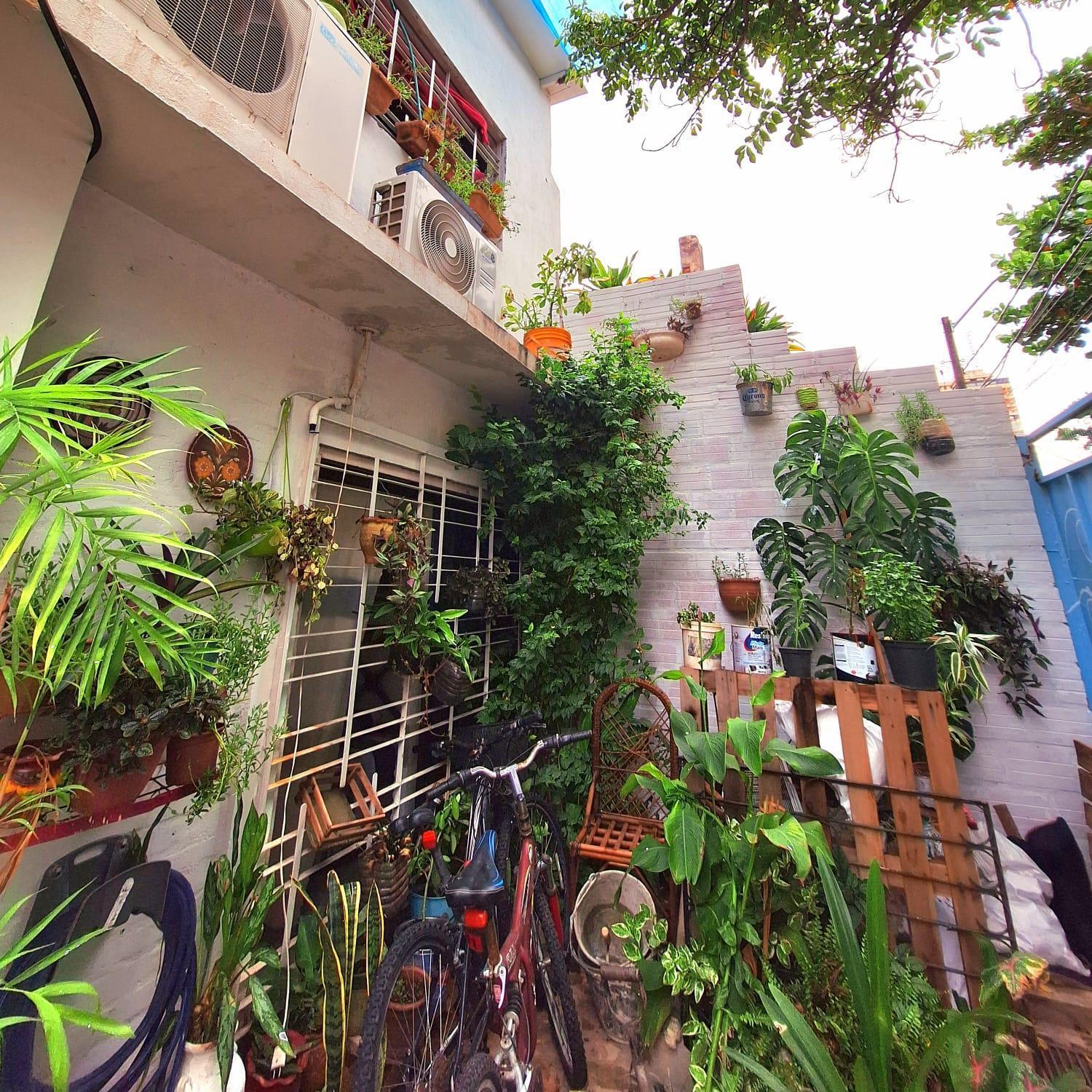 La Petite Maison De Diana Asuncion Ngoại thất bức ảnh