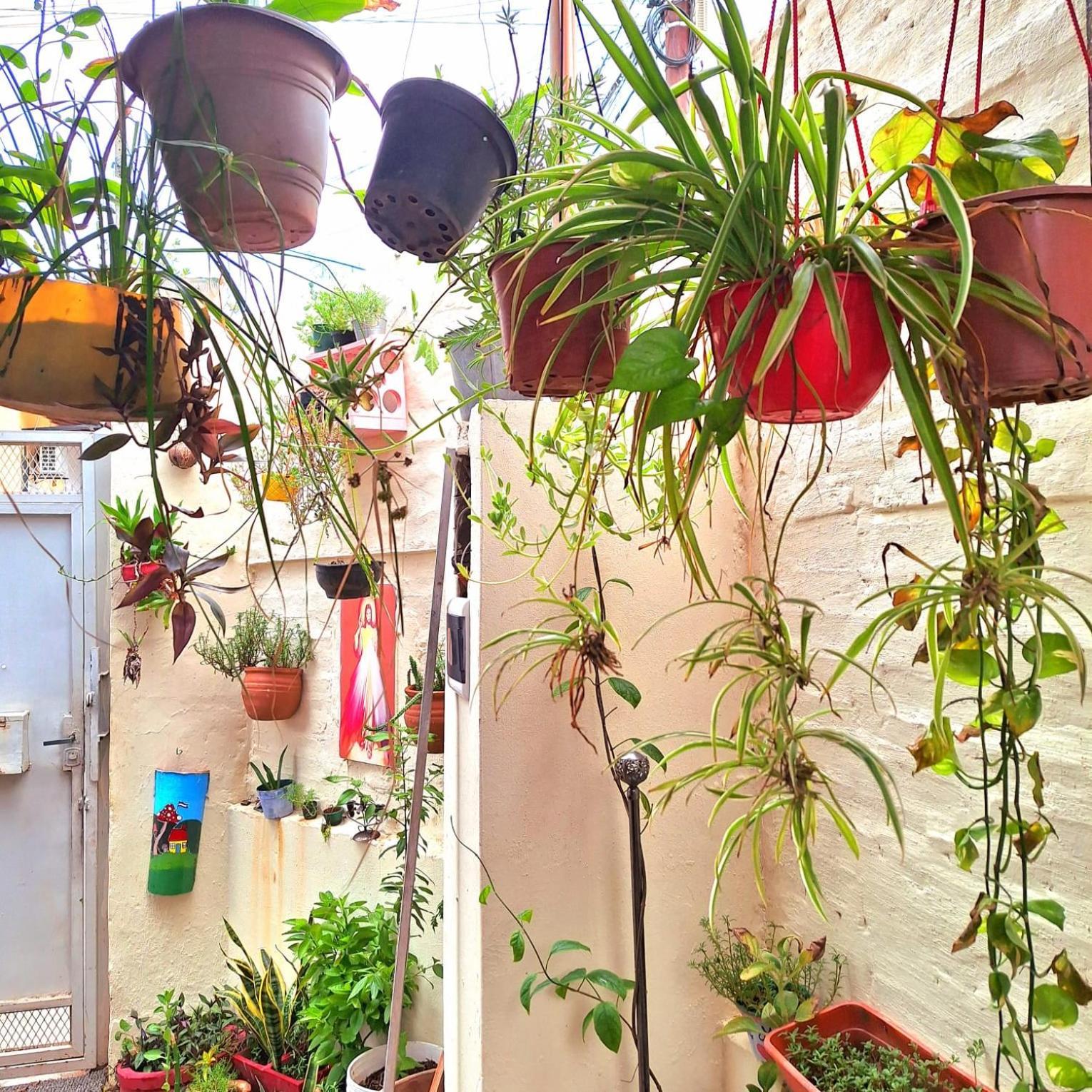 La Petite Maison De Diana Asuncion Ngoại thất bức ảnh